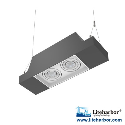 LED 8W/Lamp Commercial/Residential LED Liteharbor Pendent Mount Twin GU10 LED Multiple Downlight